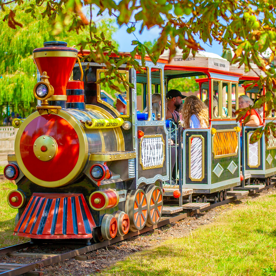 1080X1080 Safari Express