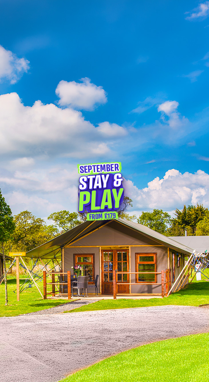 730X1334 Stay Play Mobile Header (1)
