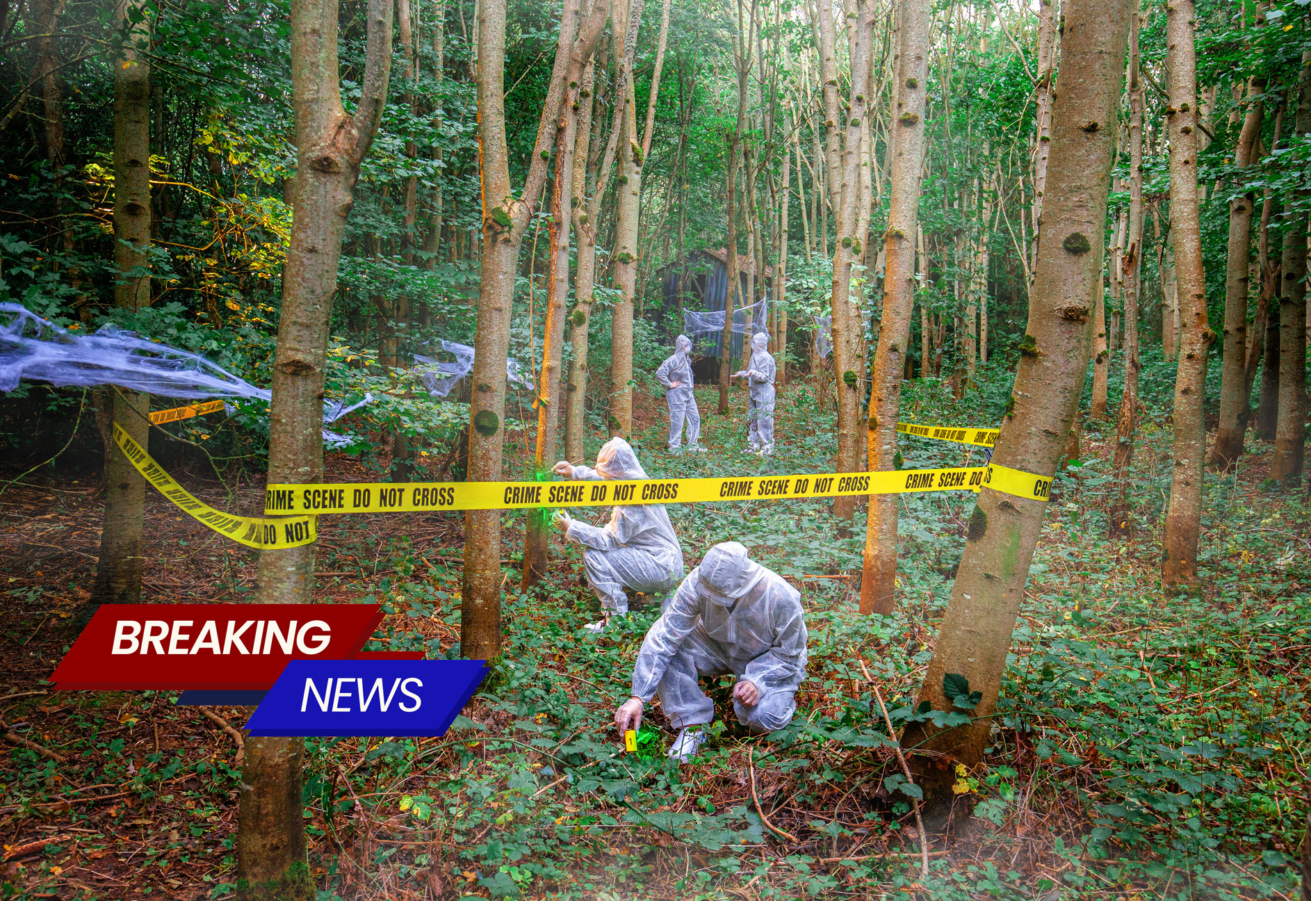 Troll CSI Final Breakingnews V3