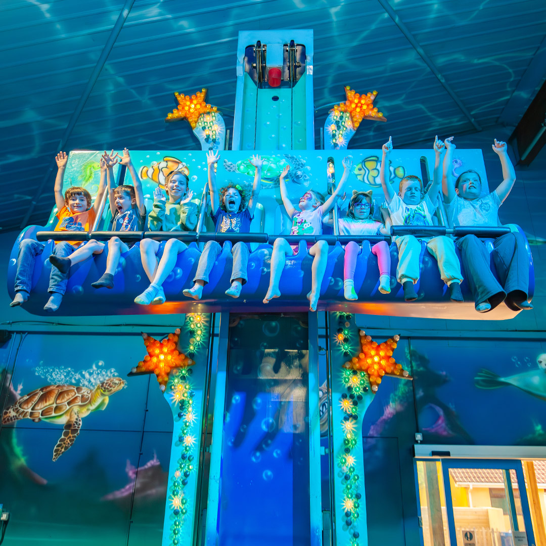 1080X1080 Dolphin Drop