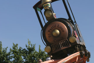 Adventure Coaster 6