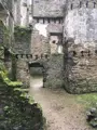 0 IMG 1250JPG