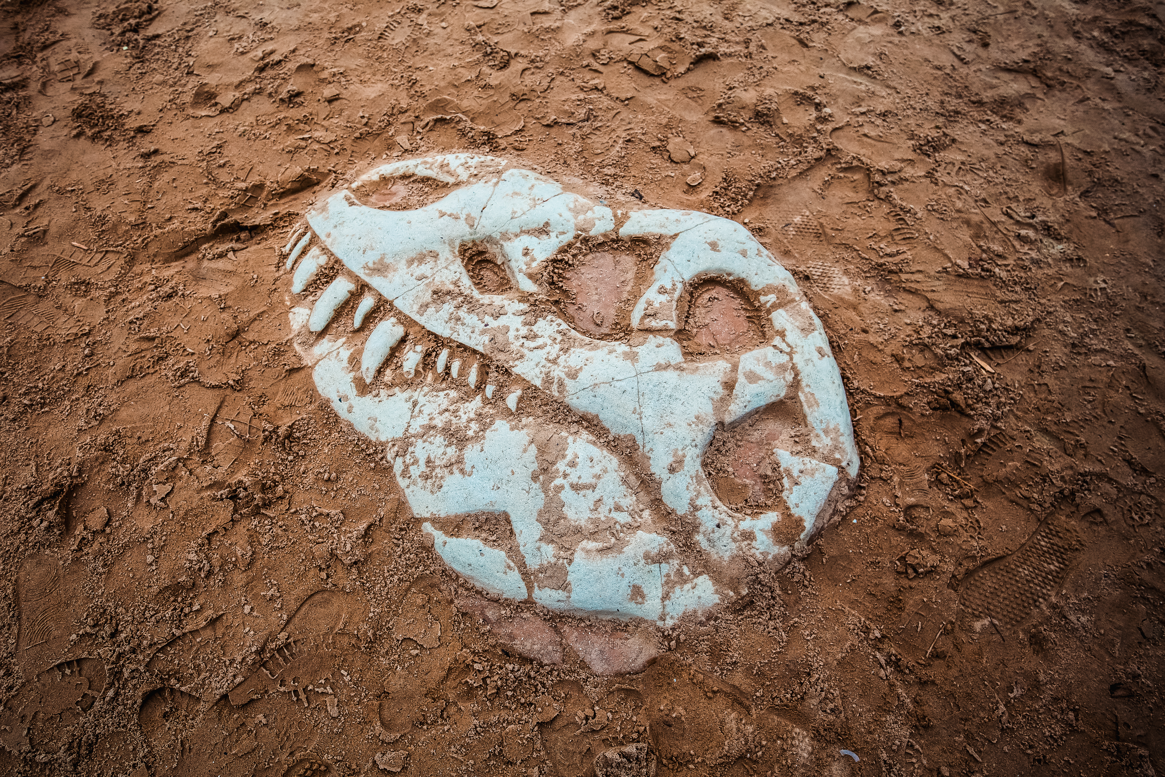 Dino Dig