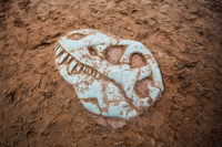 Dino Dig