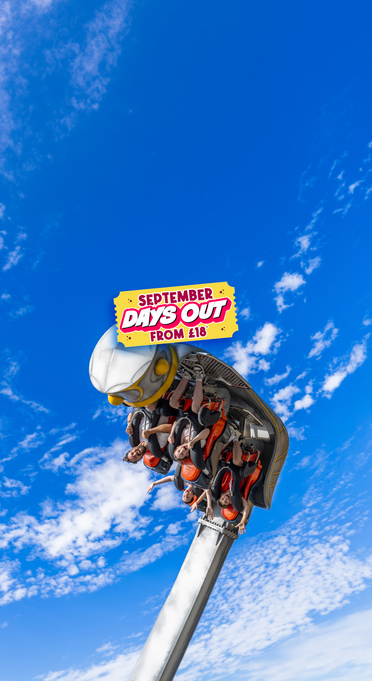 730X1334 September Days Out Mobile Header