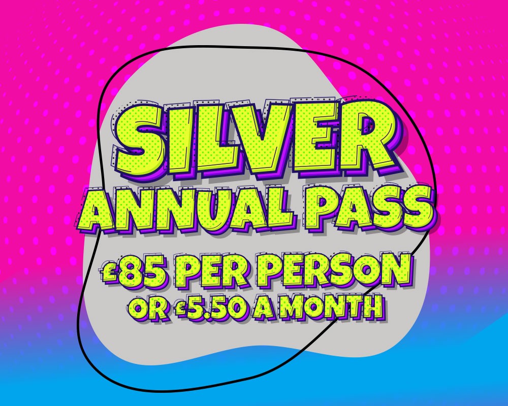 Thumbnail 1000X800px AP Web Silver (1)