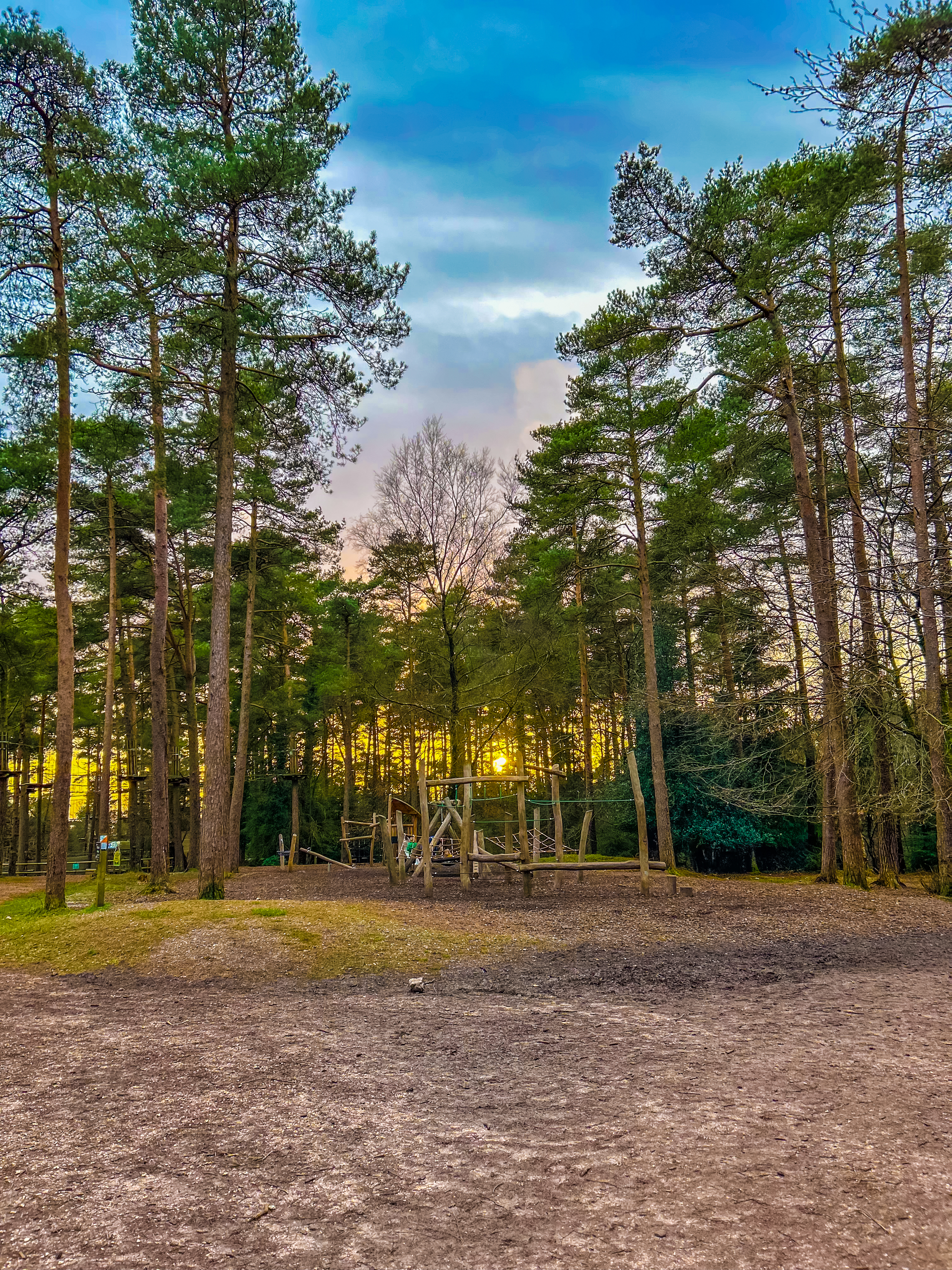 695802109 Haldon Forest
