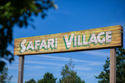 Safari Village