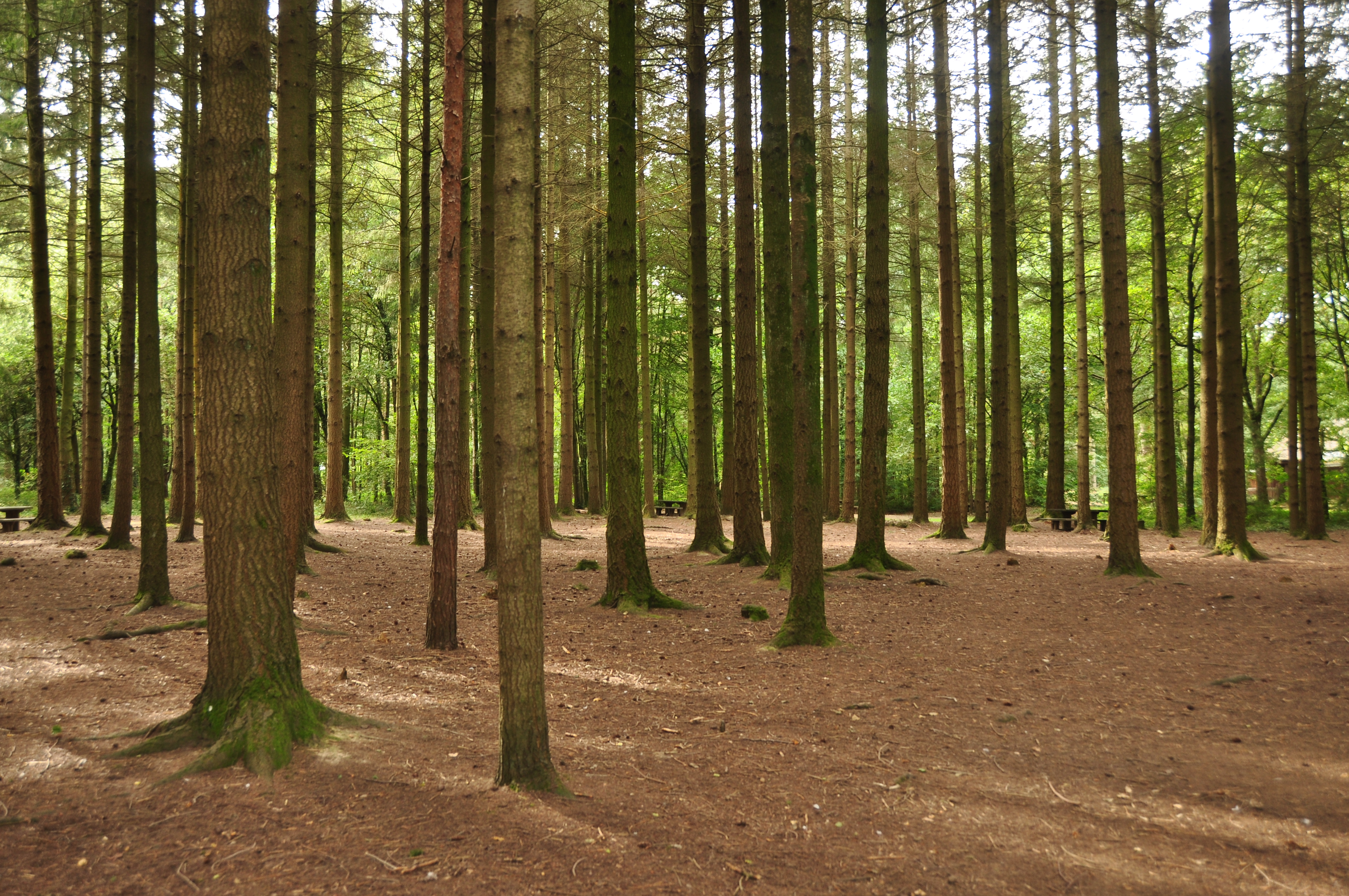 695802147 Stover Country Park