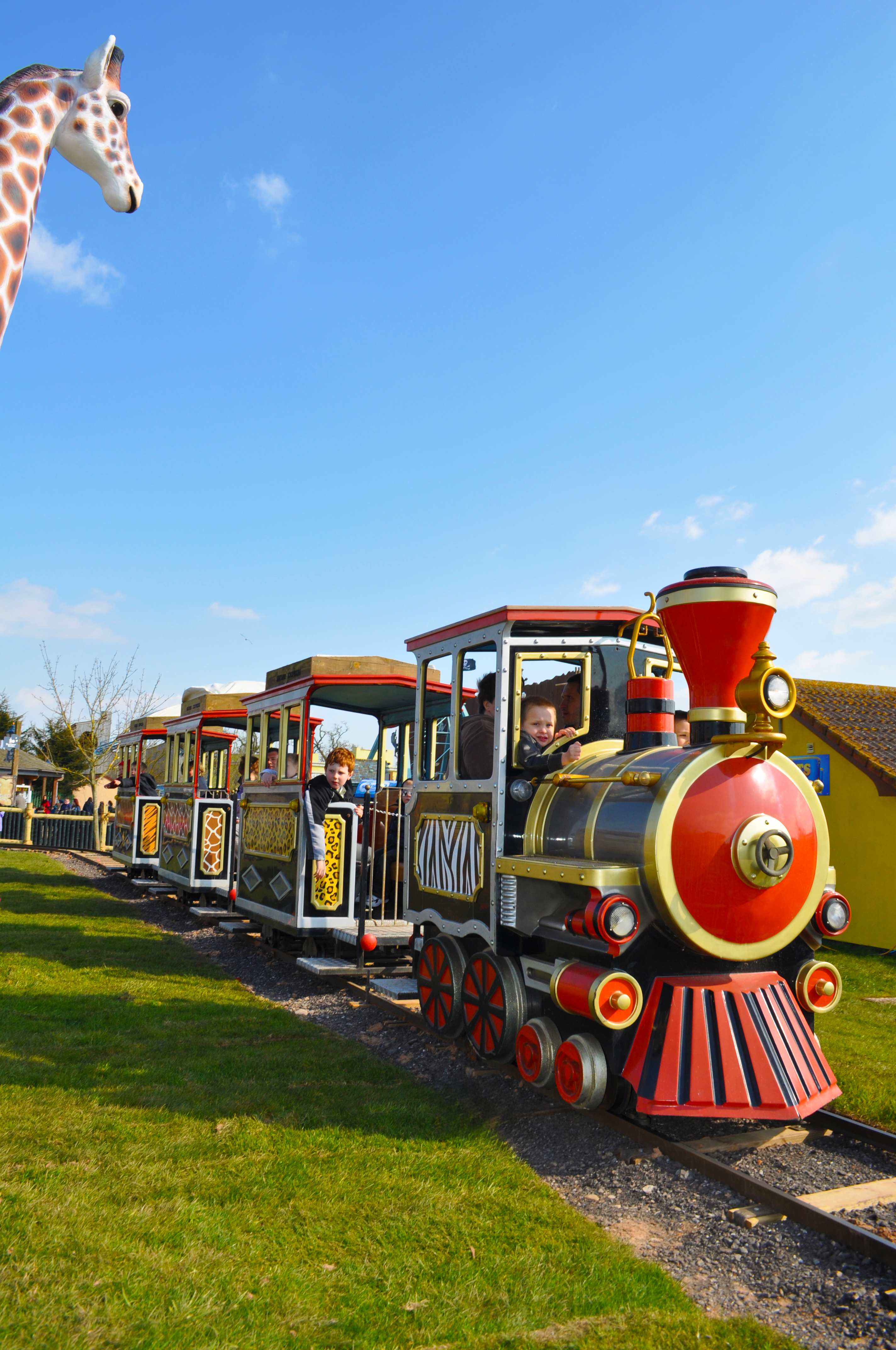 Safari Express5
