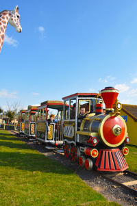 Safari Express5